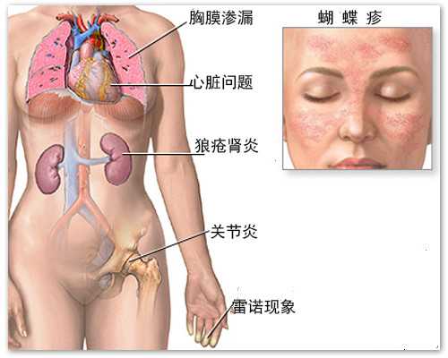山西能做供卵试管医院_宝宝用牙胶哪种好