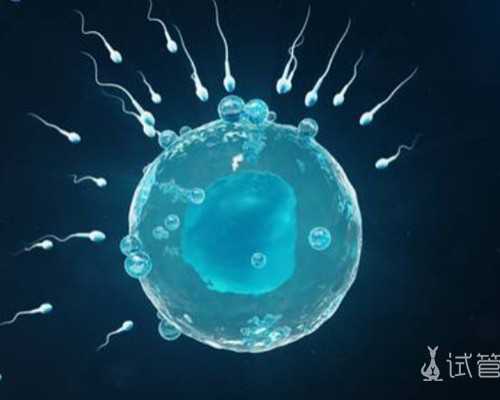 昆明最好的代孕中介,试管婴儿医院怎么选才能一次中，而且还一次找到个好的