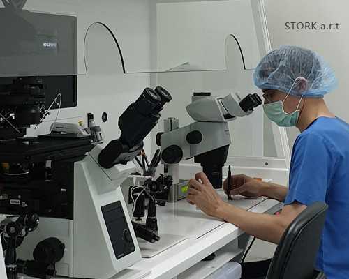 从受孕到着床全过程需要几天