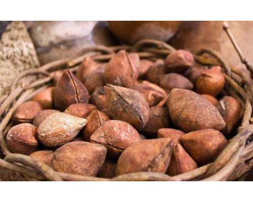 云南供卵试管婴儿_婴儿发烧温度多少正常