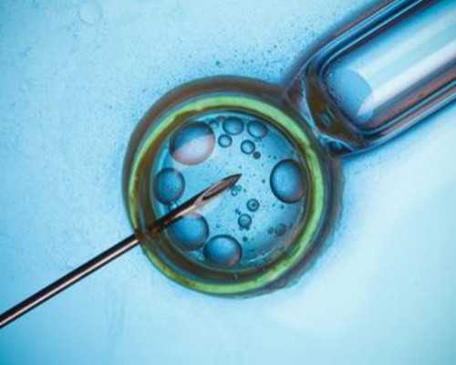 宁夏绝经供卵论坛_2022娄底试管婴儿医院排名，试管助孕仅一家可选