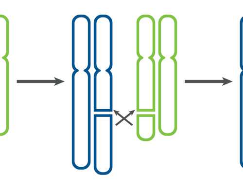 济南九院供卵试管_第三代试管婴儿有什么优势？