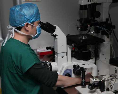 接受不了供卵的孩子怎么办_2022沈阳204医院试管婴儿成功率一览，附试管医生推