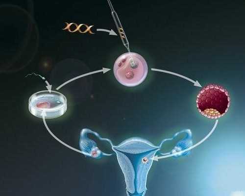 昆明代孕包供卵代生孩子,北京合法供卵试管中心，北京试管套餐成功医院值得