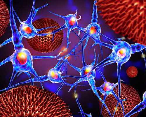 海南供卵试管中介_4岁宝宝应该会做什么