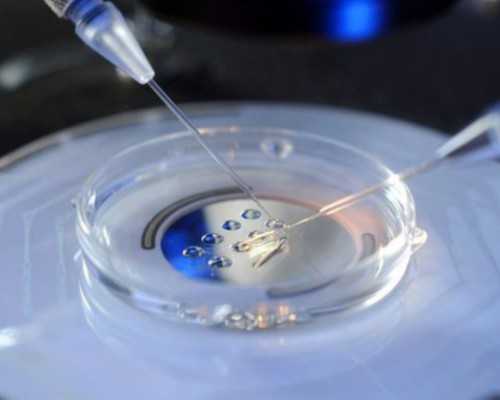 多囊卵巢食疗怎么吃东西？