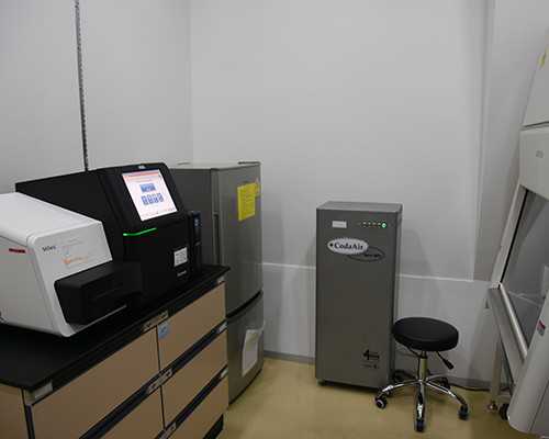 卵泡长不大是怎么回事，啥原因，如何调理