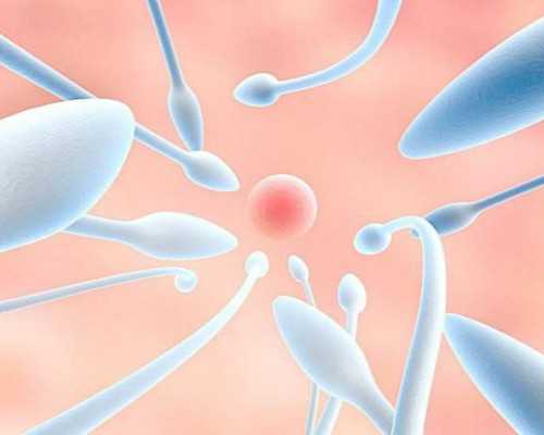 安徽省立医院生殖中心做试管生育龙凤胎好吗？双胎虽好风险不可不知