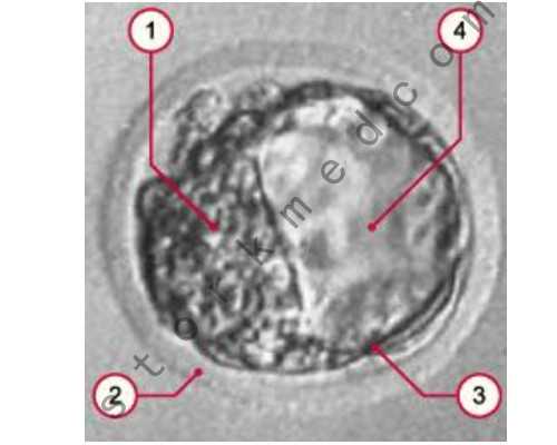 呼吸衰竭能治好吗