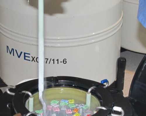 西安供卵机构名单_专家告诉我们有关免疫力的五大误区