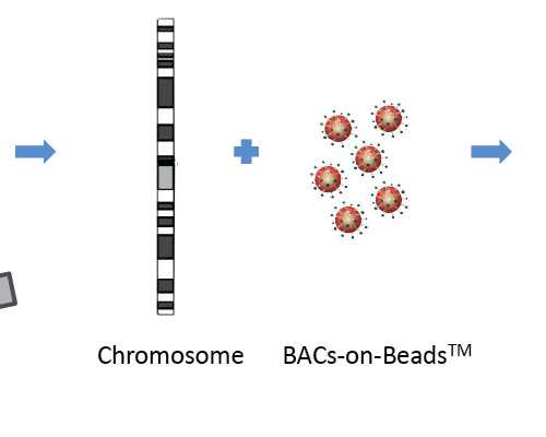 西安供卵试管婴儿论坛_2022年湖南试管婴儿医院大全，附能做供卵试管助孕医院
