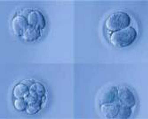 海南供卵机构是真的吗_哪些因素会成产后抑郁隐患