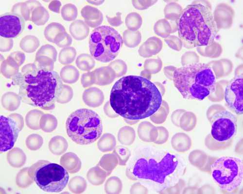 福建供卵试管医院_2022唐山妇幼保健院试管婴儿成功率一览，附试管成功经验分