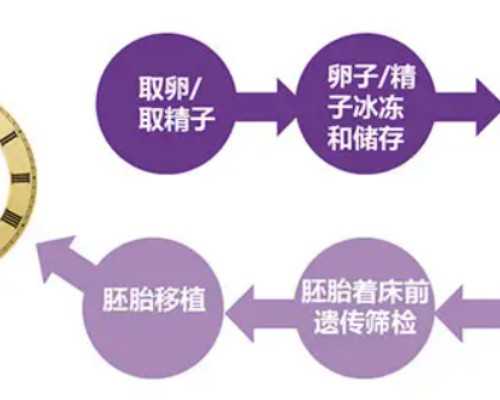河南国内供卵有哪些_怀孕五个月能打掉吗