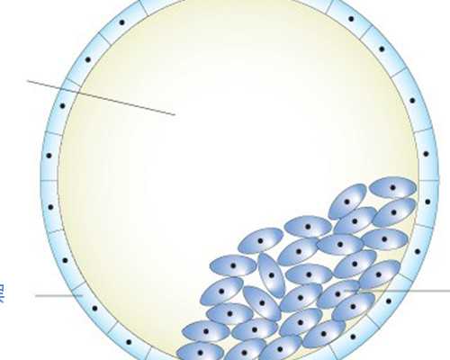 安徽供卵贵么-安徽代生花钱多少-世纪代怀孕安徽代孕试管