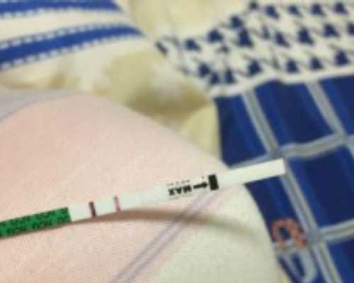 石家庄国内怎么供卵_产妇能吃西兰花炒木耳吗