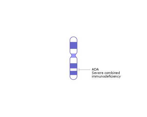 月经第一天不小心打了hpv怎么办？