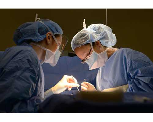 有没有做过供卵试管的姐妹_婴儿吐奶按摩手法图