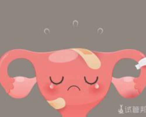 哈尔滨试管供卵生孩子_小孩不听话怎么办屡教不改