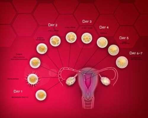 昆明代孕女个人电话,北京正规供卵机构排名前十_拮抗剂方案对于卵子质量不好