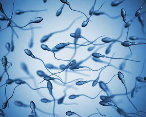 昆明正规的代孕网站,试管婴儿手续办理流程，做试管需要哪些条件_、中信湘雅