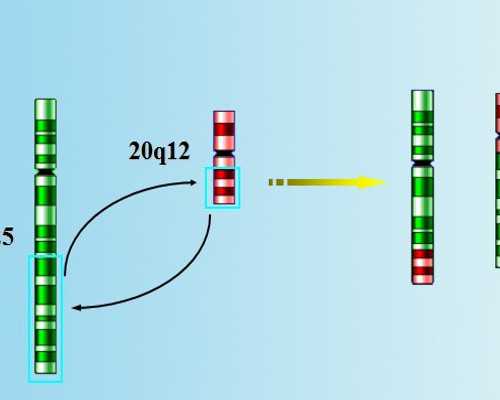 春季如何预防皮肤过敏？