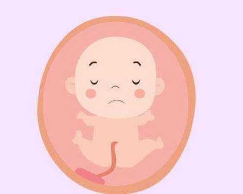 卵泡发育不良能不能做泰国试管婴儿