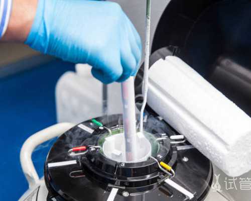 2022年最新政策上线！一文解读上海生育金怎么算、如何领