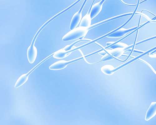 全国各地无创dna检查费用汇总，三个价位准妈可自由选择