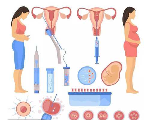 胎芽多久能看到