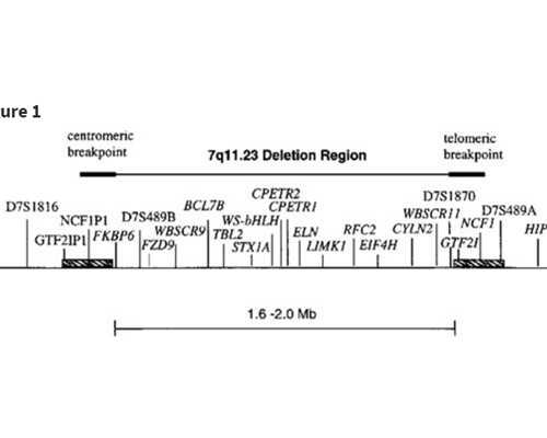 2022上海二胎生育险报销政策最新消息，掌握好流程能拿不少钱