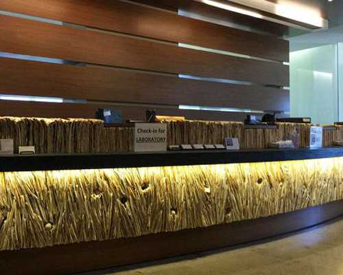 安徽代生的价格-安徽助孕有几家-哪个医院可以安徽供卵