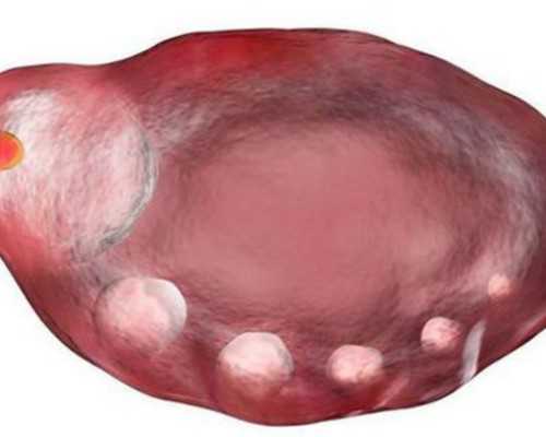 天津海外供卵试管婴儿_小孩烂嘴角是怎么回事