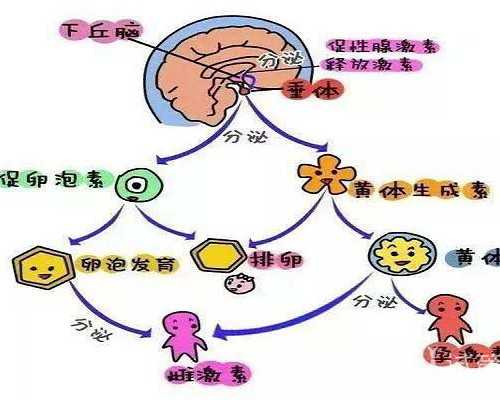昆明安琪儿试管婴儿费用明细表，2025助孕过程花费预估