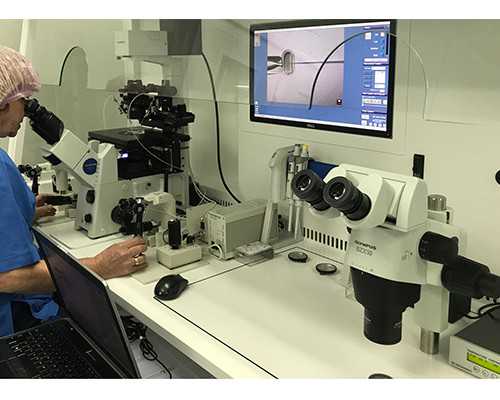 泰国供卵试管婴儿成功率_5种情况加重分娩疼痛