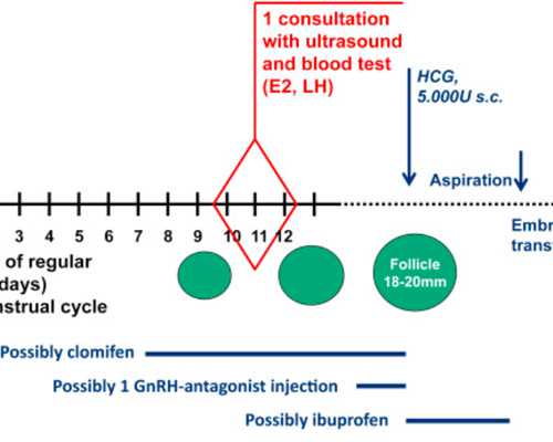 重庆公立医院有供卵的吗_宝宝断奶第一天是一次奶都不给吃吗