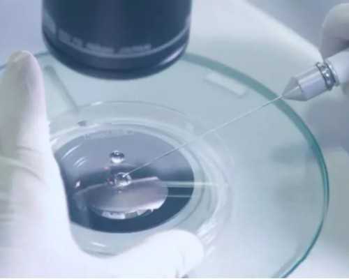 怀孕初期能吃辣椒吗