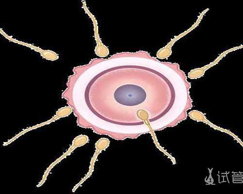 柬埔寨第三代试管婴儿医院选择技巧