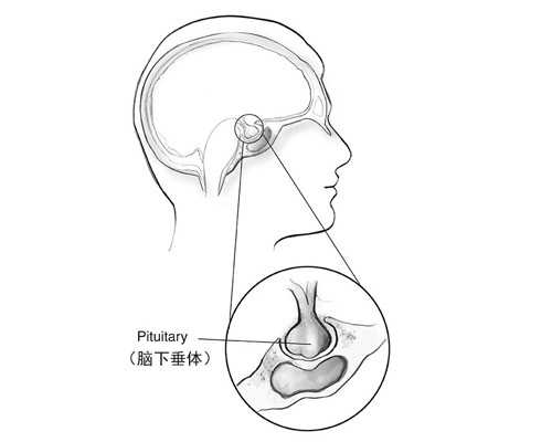 安徽代怀好吗-安徽代生小孩中心-包成功安徽代孕生男孩多少钱