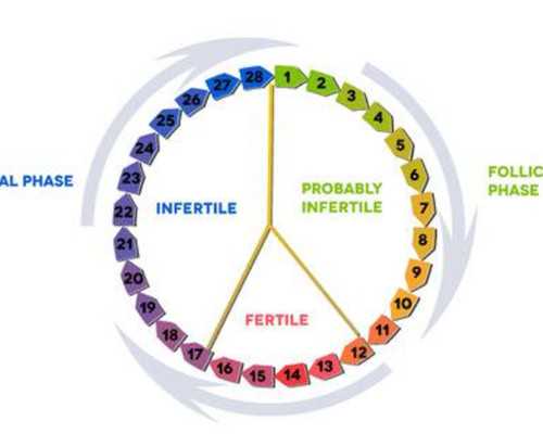 安徽省立医院胚胎养囊成功率高不高？