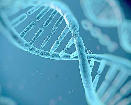 试管婴儿成功率取决于什么原因