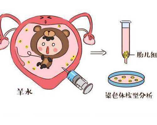 泰国试管婴儿医院指南，中介、客户眼中的三美泰医大不同