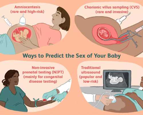 拼多多的多多果园怎么玩