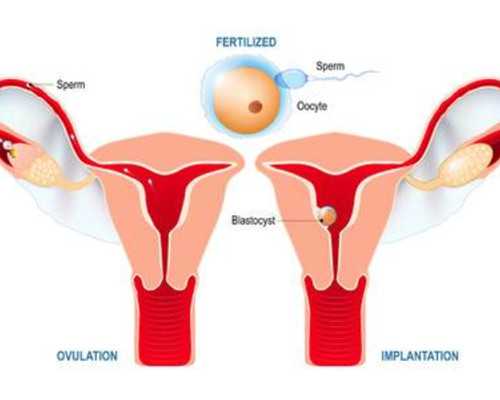 西安哪里有正规的供卵_男性精子成活率低的原因是什么