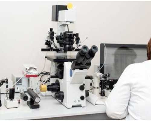 医生为什么让精子等卵子？