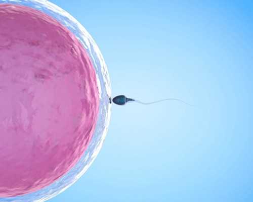 马鞍山妇幼试管多少钱？马鞍山妇幼试管费用明细参考