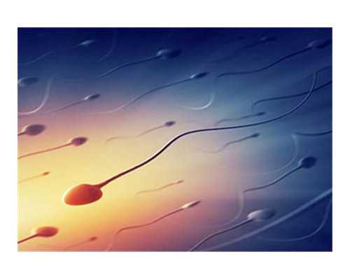 妈友经验，揭秘羊水少的一些问题