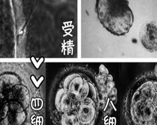 大龄女性可以申请在广州南方医院做供卵试管吗？