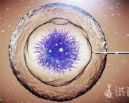 吉林供卵生殖中心地址_2022柳州试管婴儿医院排名，附成功率及费用介绍