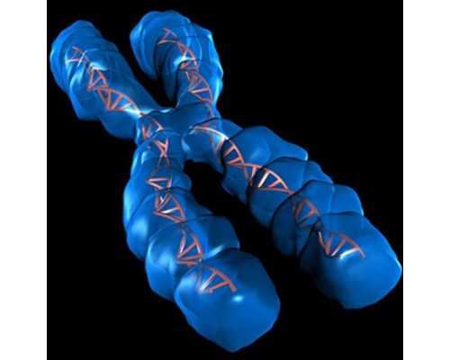 第一次做试管婴儿失败，第二次该如何提高成功率